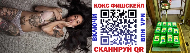 даркнет сайт Сурск COCAIN FishScale