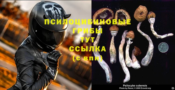 хмурый Протвино