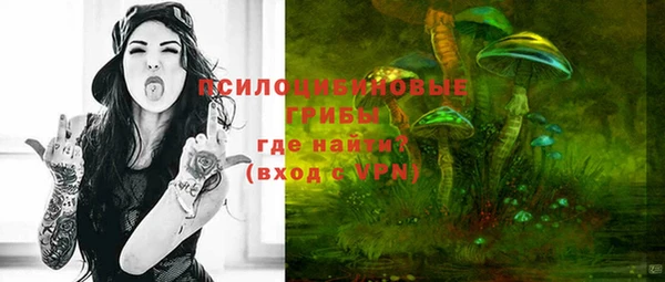 метадон Приозерск