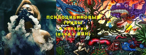 хмурый Протвино