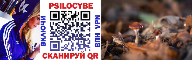 ОМГ ОМГ ССЫЛКА  Сурск  Галлюциногенные грибы мухоморы 